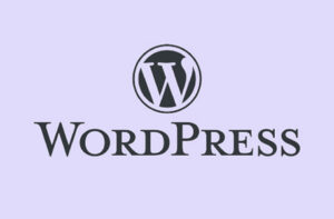 Read more about the article Webdesign mit WordPress (CMS)