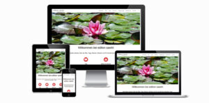 responsives Webdesign edition-sawitri.de