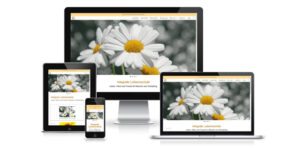 responsives Webdesign integrale-lebensschule.ch